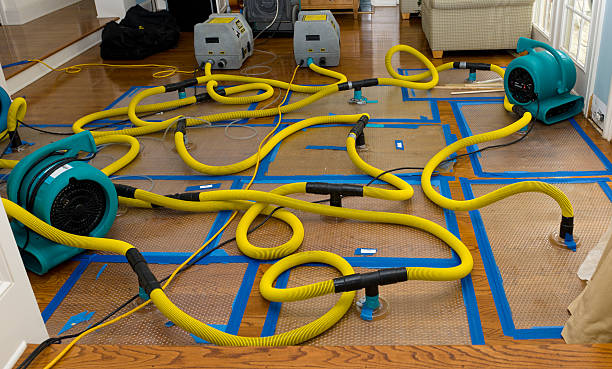 Professional Water Extraction technician working in Cranberry Township, PA